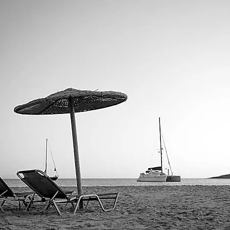 Dimitris *